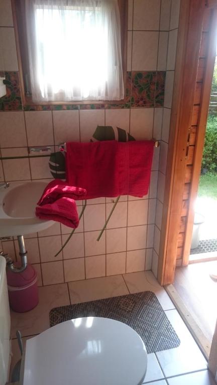 Sann/ Michaelis room 6